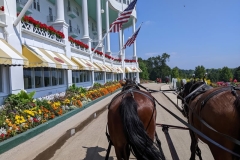 Mackinac Island Carriage Ride