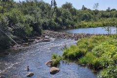 Beaver Dam Sault Ste Marie Ontario