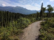 Rock Creek Trail, Denali National Park