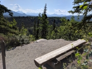 Overlook on Rock Creek Trail, Denali National Park
