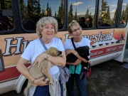 Puppies, Husky Homestead Tour
