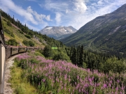 White Pass - Yukon Railroad