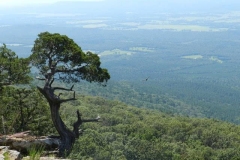 View from Mount Magazine