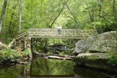 Cedar Creek Trail in Petit Jean state park