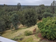 Lassen View Airbnb