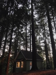 Los Gatos Airbnb Cabin