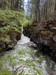 Rouge River Gorge, Oregon