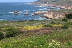 Big Sur Coastline