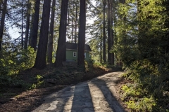 Airbnb Cabin off Summit Rd. Los Gatos