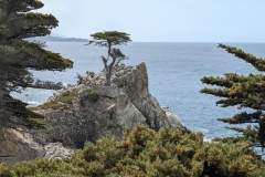 Lone Cypress on 17 Mile Drive