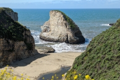 Shark Fin Cove