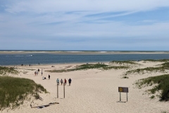 Cape Cod Beach