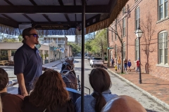 Charleston, SC Carriage Ride