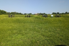 Vicksburg Civil War Battlefield