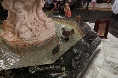 Peabody Hotel Ducks, Memphis
