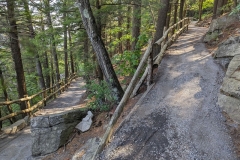 Switchback on Sky Top path