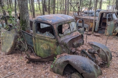 Tree in a Truck
