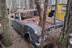 Falcon Ranchero