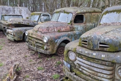 Panel Trucks