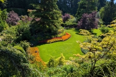 Butchart Gardens Overlook
