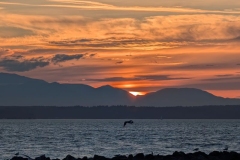 Sunset over Olympic Mountains from Seattle