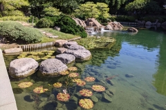 Phoenix Japanese Friendship Garden