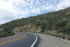 Tucson Sky Island Scenic Byway Saguaro