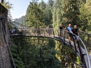 Capilano Park CliffWalk