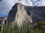 Yosemite El Capitan